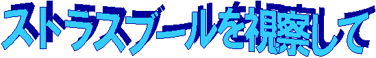 �X�g���X�u�[�������@����